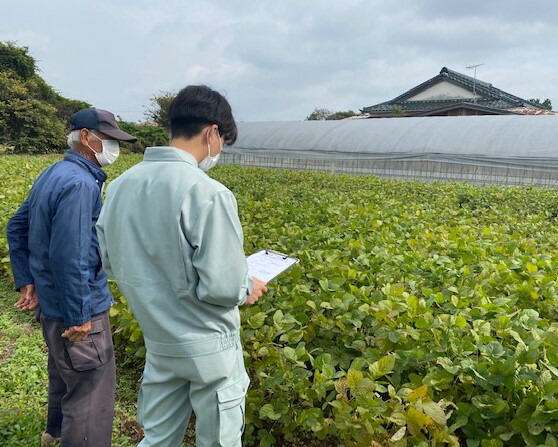 座間市産　津久井在来大豆　3kg｜ ヘルシー プロテイン イソフラボン 大豆 国産 無添加 業務用