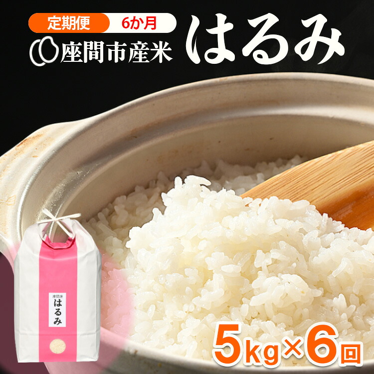 【定期便】6か月 座間市産米 はるみ5kg×6回 ※2026年10月～発送
