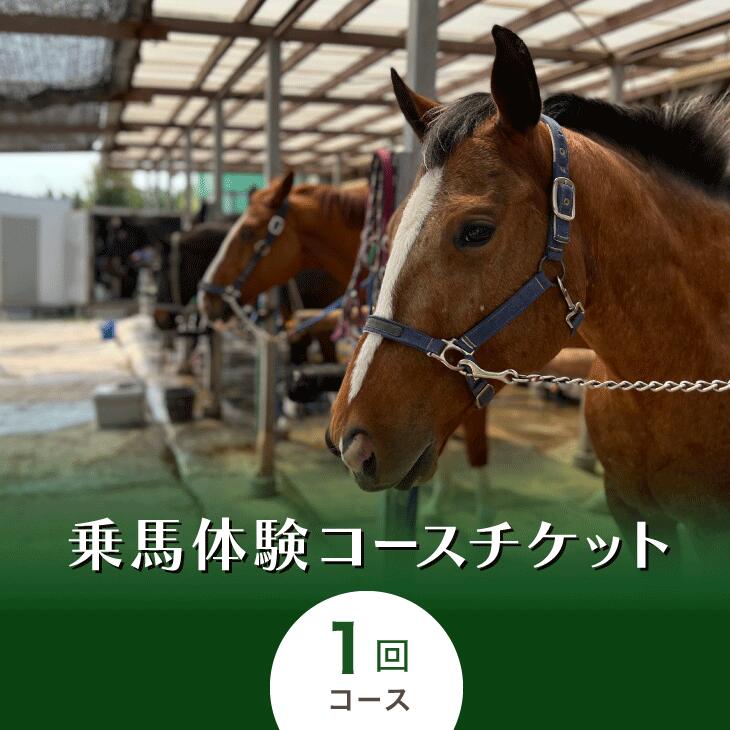 乗馬体験コースチケット１回コース｜乗馬体験 レンタル付 乗馬 乗馬散歩 馬 自然 初心者 安心 スポーツ アウトドア
