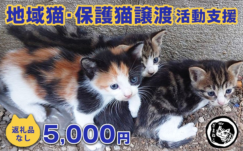 【返礼品なし】地域猫・保護猫譲渡活動支援　NPO法人ざま野良猫を増やさない会 5,000円 | 猫 ねこ 動物 保護 愛護 譲渡 保護活動 応援 支援 寄附