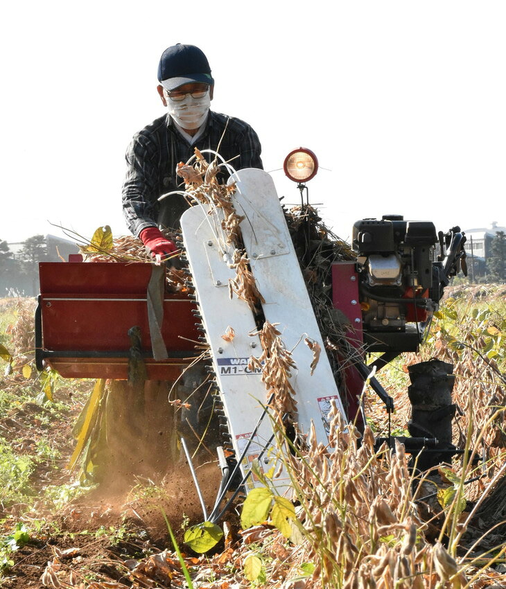 座間市産　津久井在来大豆　3kg｜ ヘルシー プロテイン イソフラボン 大豆 国産 無添加 業務用