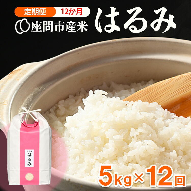 【定期便】12か月 座間市産米 はるみ5kg×12回 ※2026年10月～発送