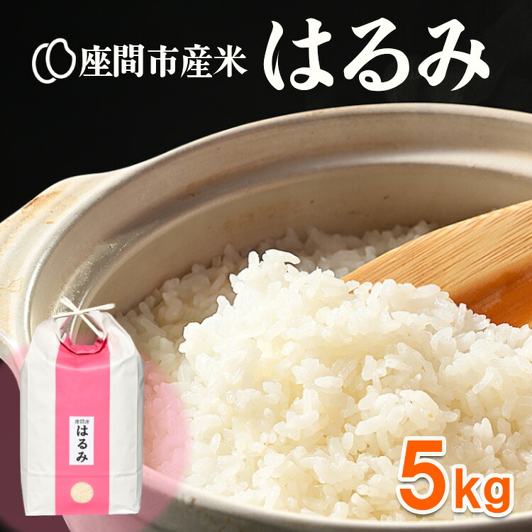 座間市産米 はるみ 5kg  ※2026年10月～発送