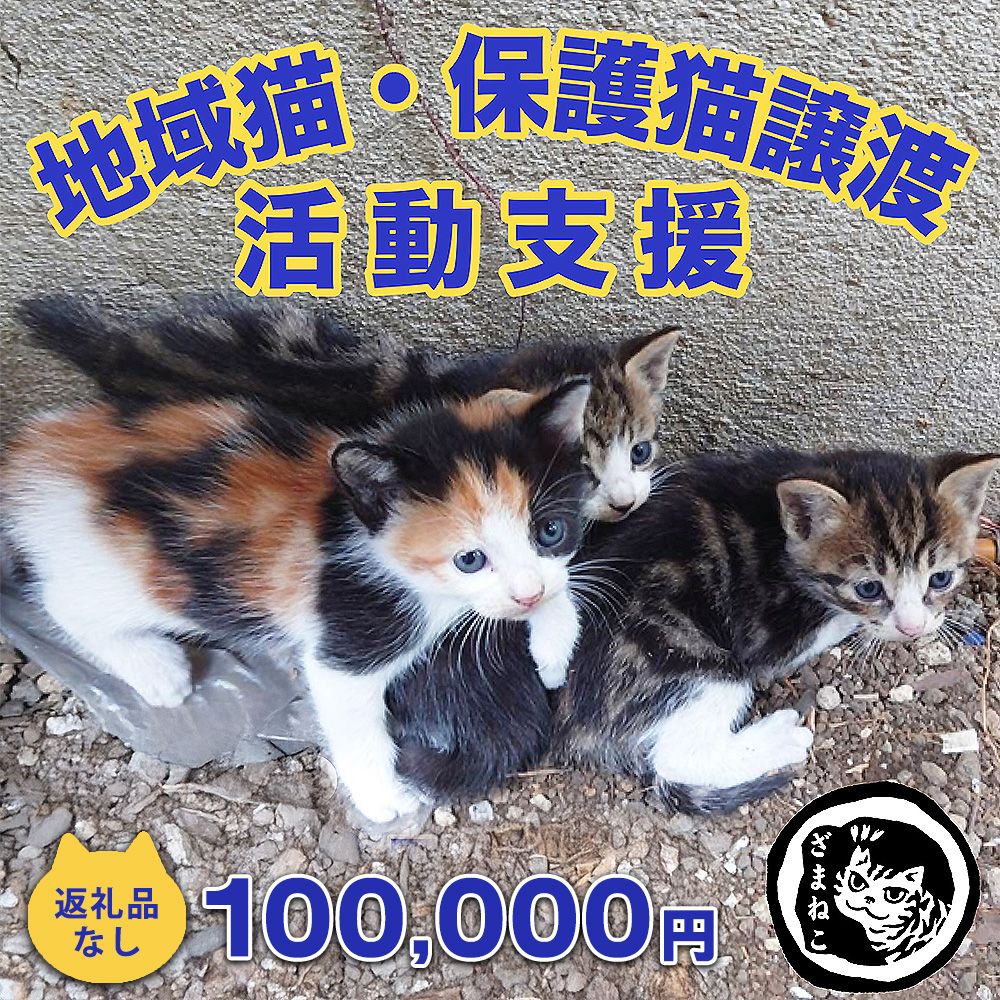 【返礼品なし】地域猫・保護猫譲渡活動支援　NPO法人ざま野良猫を増やさない会 100,000円 | 猫 ねこ 動物 保護 愛護 譲渡 保護活動 応援 支援 寄附
