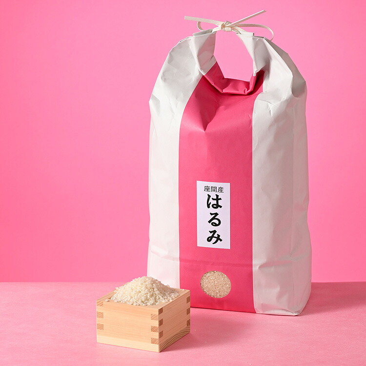 【定期便】3か月 座間市産米 はるみ5kg×3回 ※2026年10月～発送