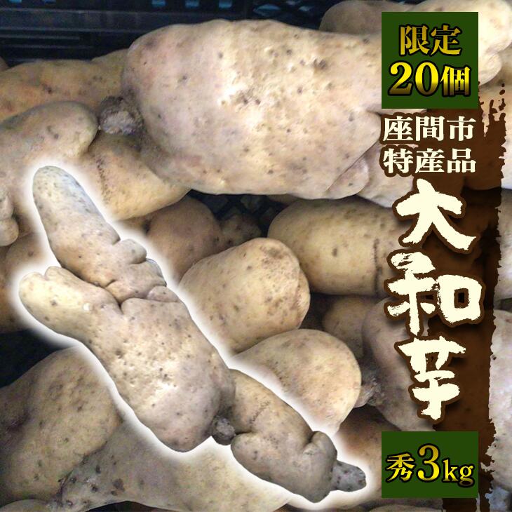座間市特産品　大和芋　秀　3kg｜贈答品 とろろいも とろろ芋 山芋とろろ やまいも やまといも