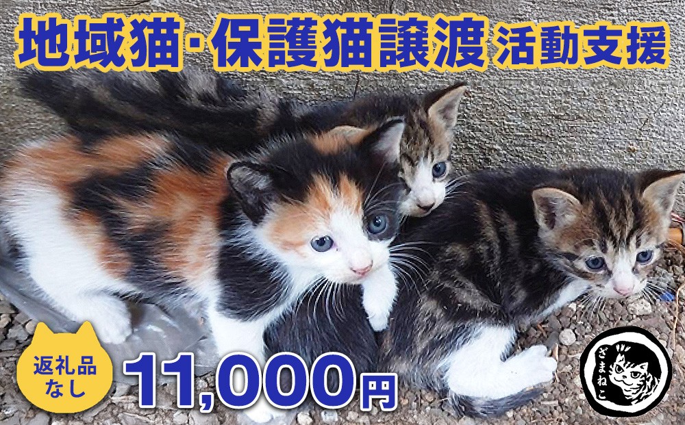 【返礼品なし】地域猫・保護猫譲渡活動支援　NPO法人ざま野良猫を増やさない会 11,000円 | 猫 ねこ 動物 保護 愛護 譲渡 保護活動 応援 支援 寄附