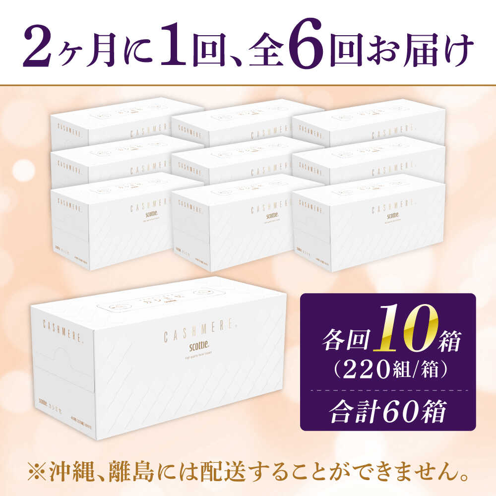 【全6回定期便(2ヵ月に1回)】スコッティ ティッシュ カシミヤ 10箱 (1箱 220組(440枚))