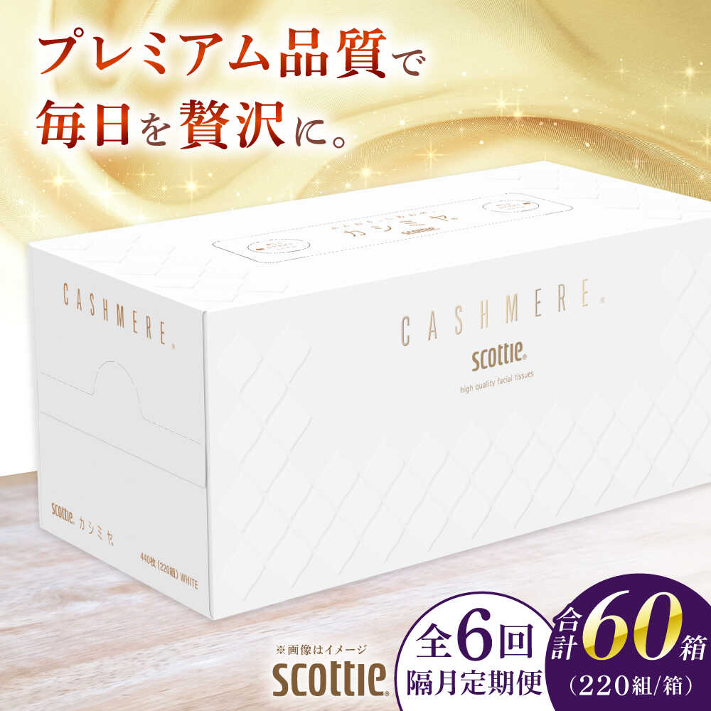 【全6回定期便(2ヵ月に1回)】スコッティ ティッシュ カシミヤ 10箱 (1箱 220組(440枚))