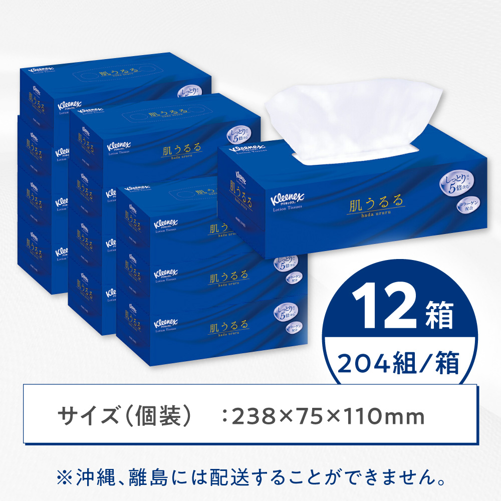 クレシア クリネックス ティッシュ 肌うるる 12箱(1箱 408枚(204組))