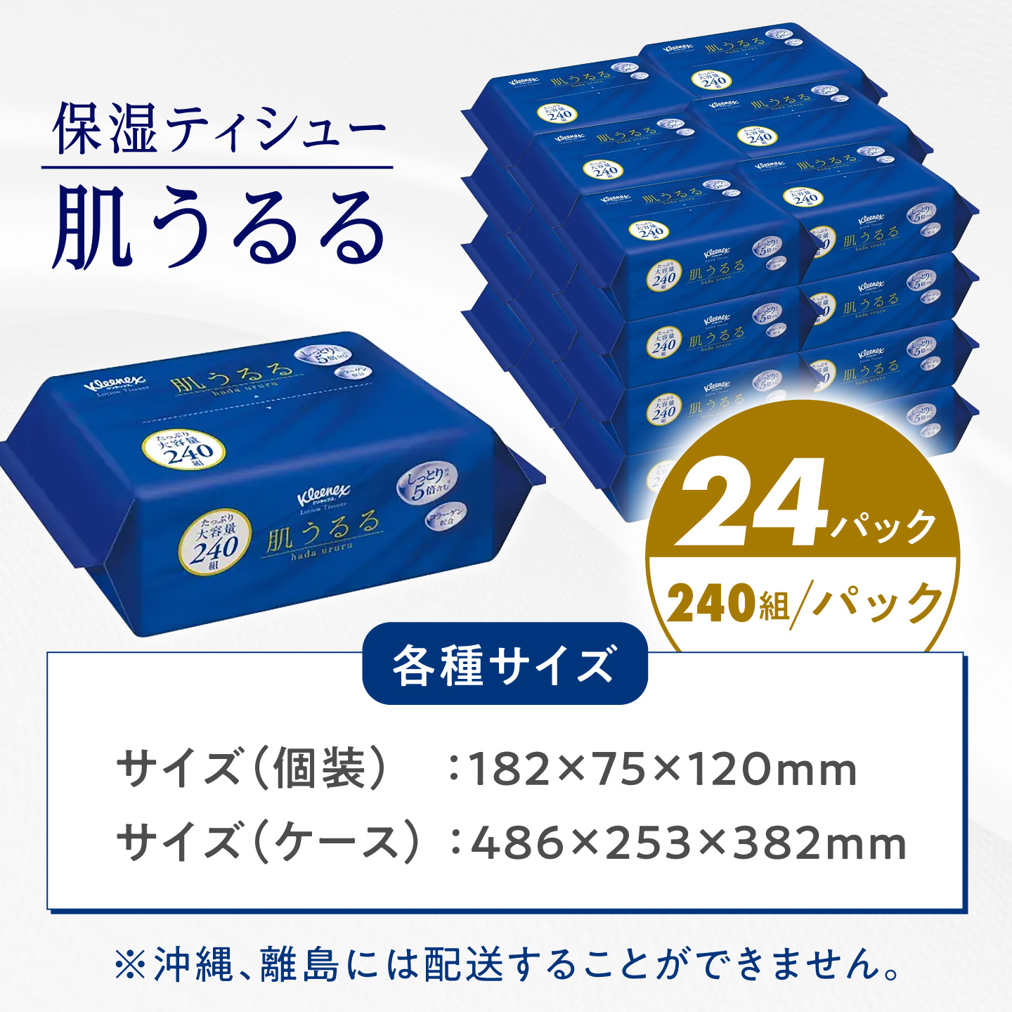クレシア クリネックス ティッシュ 肌うるる ソフトパック 24パック(1パック 480枚(240組))