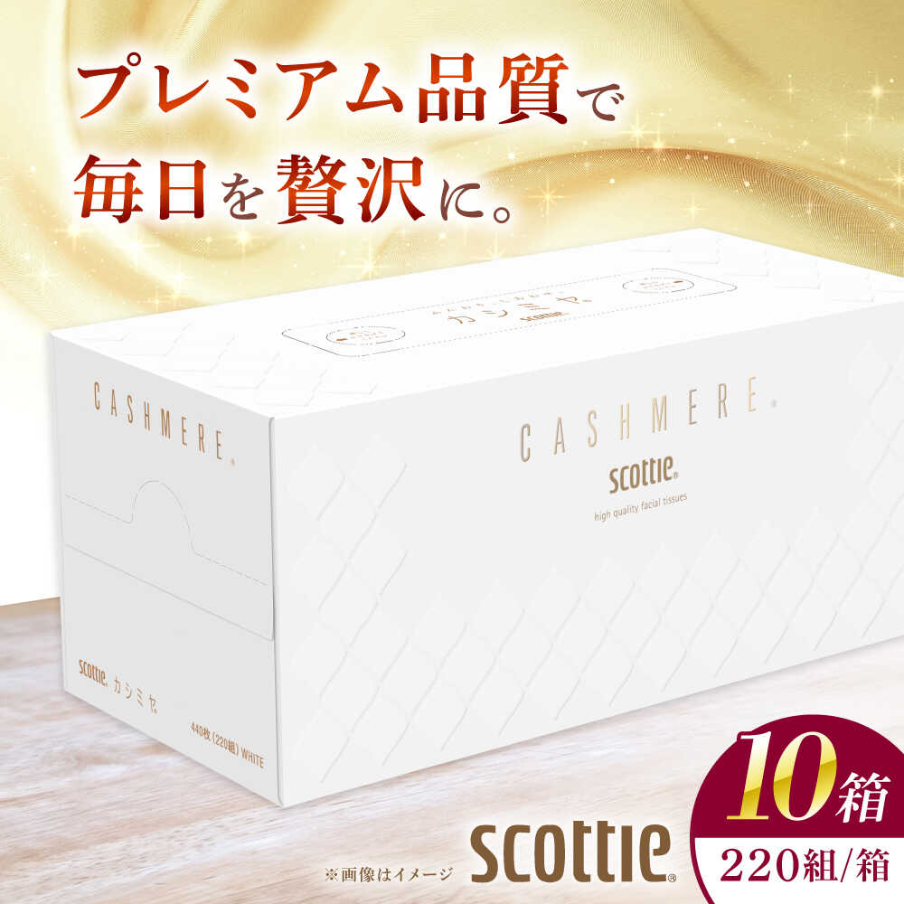 スコッティ ティッシュ カシミヤ 10箱 (1箱 220組(440枚))