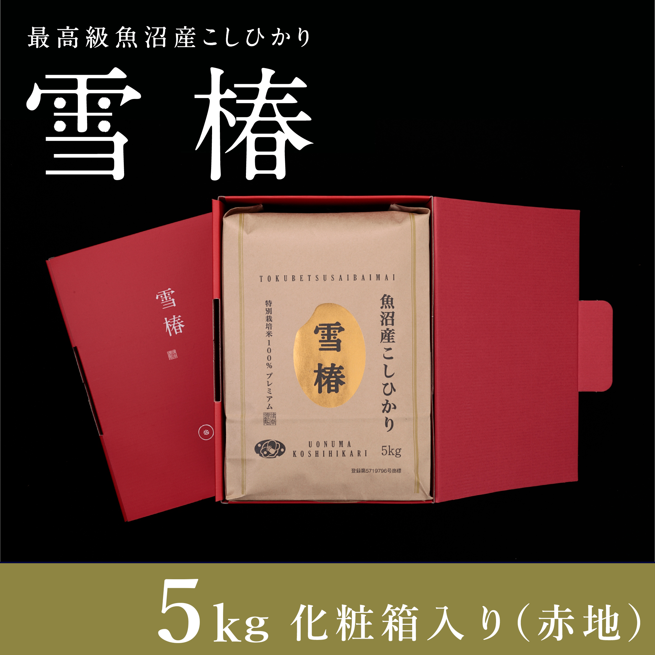 【化粧箱入り】【令和7年産】魚沼産コシヒカリ「雪椿」5kg (5kg×1袋) 特別栽培米 | 米 お米 新潟 魚沼 魚沼産こしひかり コメ おこめ 白米 精米 最高級 ギフト 新潟県 津南町 越後雪椿産業株式会社