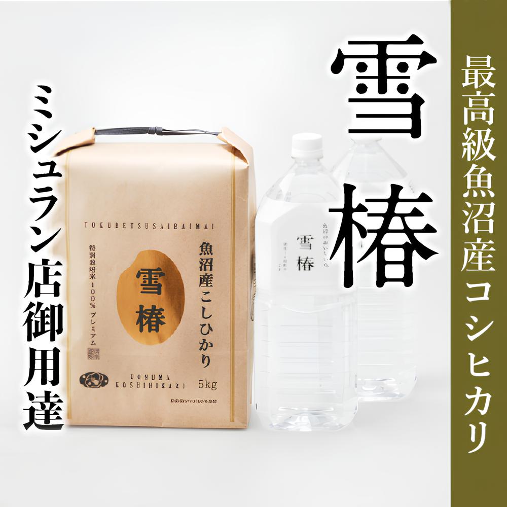 【至高の魚沼セット】【令和7年産】 魚沼産コシヒカリ 雪椿 5kg ＋ 魚沼の天然水 雪椿 4L ( 2L× 2本 ) | 米 お米 新潟 魚沼 魚沼産こしひかり コメ おこめ 白米 精米 セット 最高級 新潟県 津南町 越後雪椿産業株式会社