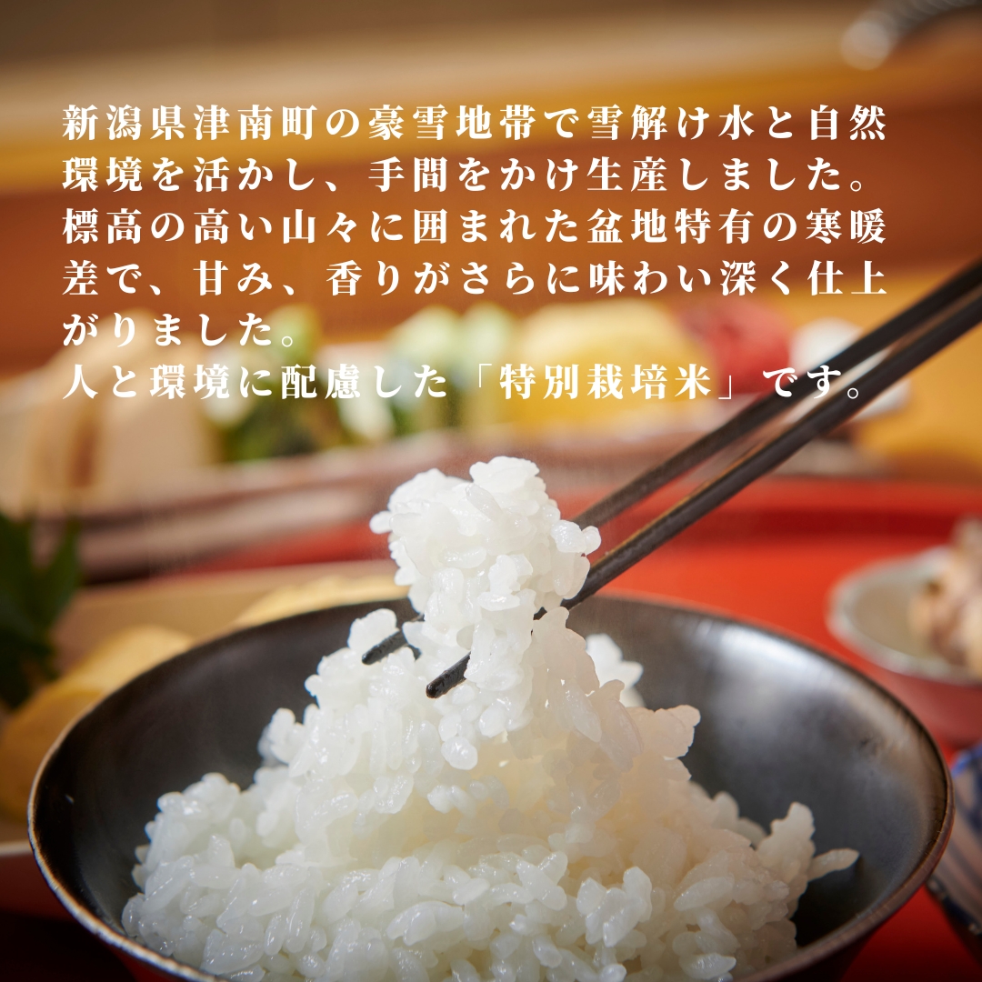 【令和7年産】 魚沼産コシヒカリ 5kg(5kg×1袋)  特別栽培米 |  新潟産コシヒカリ 新潟県産コシヒカリ 魚沼産こしひかり 米 お米 こしひかり 白米 精米  新潟県 津南町 越後雪椿産業株式会社
