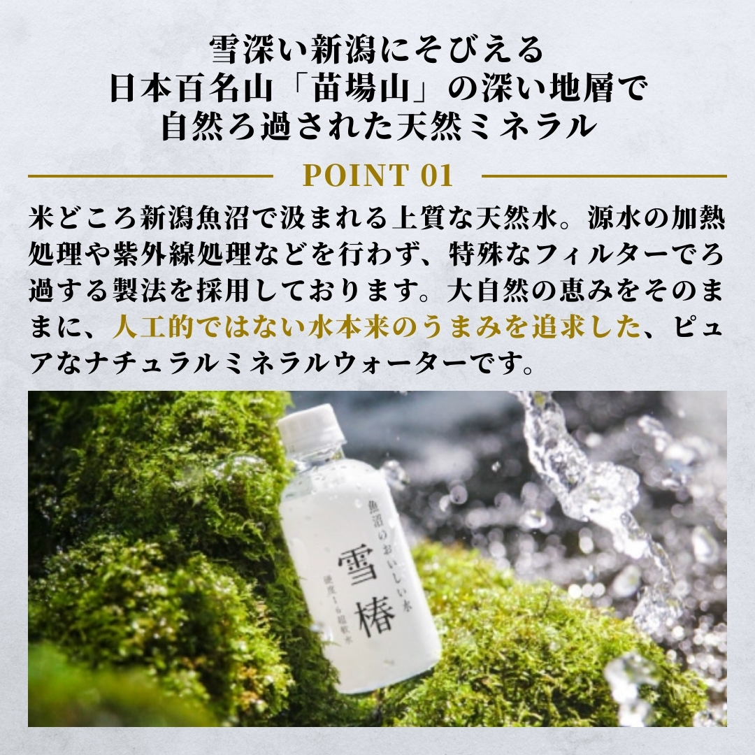 水 2L×6本 雪椿の天然水 津南 国産 | 天然水 みず 飲料 飲料水 ミネラルウォーター 軟水 備蓄 備蓄用 備蓄水 防災 防災用 アウトドア キャンプ プレゼント ギフト 新潟県 津南町 越後雪椿産業株式会社