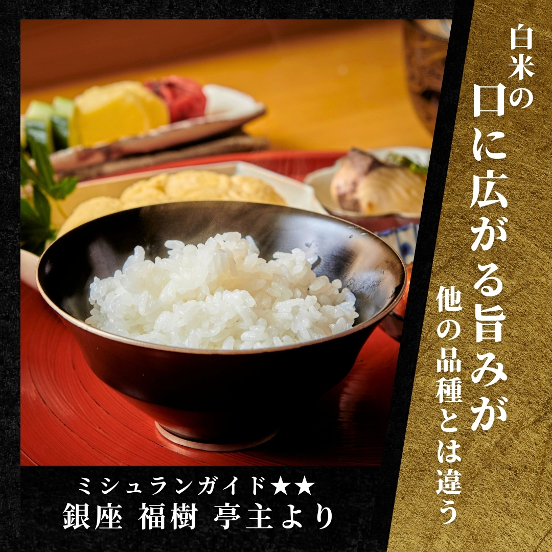 【令和8年産 コシヒカリ 先行予約】【定期便 12ヶ月】魚沼産コシヒカリ 雪椿 10kg(5kg×2袋) × 12回  特別栽培米 | 米 お米 新潟 魚沼 魚沼産こしひかり コメ おこめ 白米 精米 最高級 定期 新潟県 津南町 越後雪椿産業株式会社