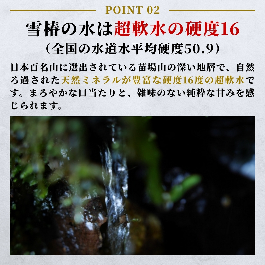 水 2L×6本 雪椿の天然水 津南 国産 | 天然水 みず 飲料 飲料水 ミネラルウォーター 軟水 備蓄 備蓄用 備蓄水 防災 防災用 アウトドア キャンプ プレゼント ギフト 新潟県 津南町 越後雪椿産業株式会社