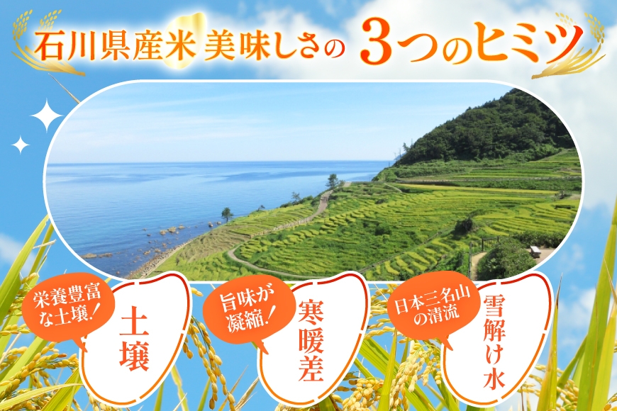米 定期便 石川のお米 食べ比べ 5kg 3回 総計15kg 令和8年産 新米 こしひかり ゆめみづほ ひゃくまん穀 [中橋商事株式会社 石川県 宝達志水町 38601399] 精米 こしひかり お米 こめ コメ 定期 3ヶ月 能登米こしひかり ゆめみづほ ひゃくまん穀 石川 能登