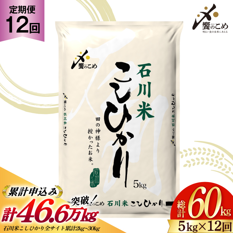 米 定期便 石川米こしひかり【穂立】5kg×12回 総計60kg [中橋商事 石川県 宝達志水町 38600814]コシヒカリ お米 コメ 12ヶ月 白米 精米 おこめ こめ 能登 5kg 5キロ