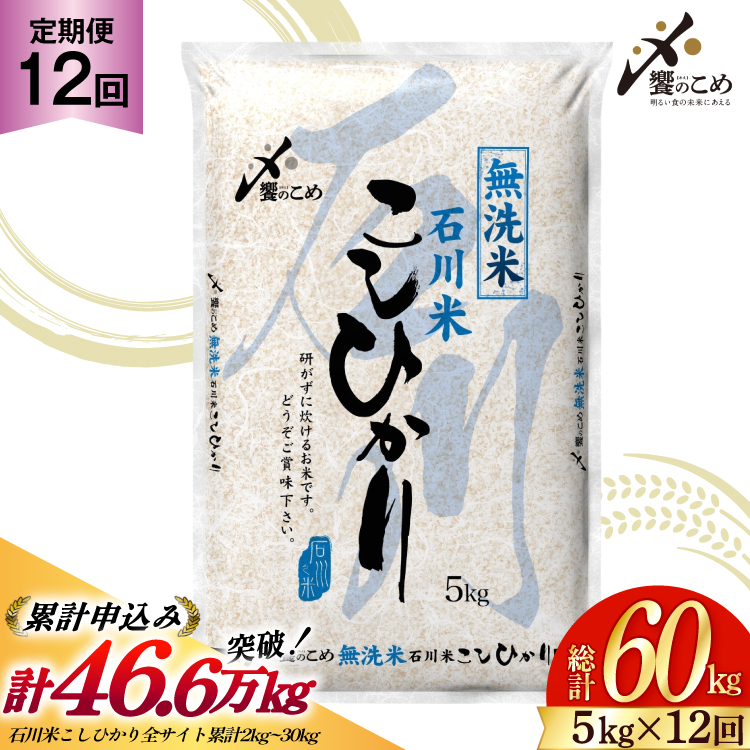 【12回 無洗米 定期便 】石川県産 こしひかり 5kg×12回 総計60kg [中橋商事 石川県 宝達志水町 38601338] 米 お米 白米 精米 ご飯 ごはん コシヒカリ