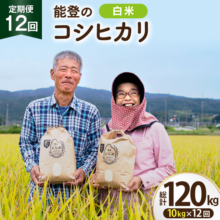 【期間限定発送】 米 定期便 コシヒカリ 白米 10kg 12回 総計 120kg [農家にしの 石川県 宝達志水町 38601410] こしひかり お米 おこめ こめ コメ 精米 ごはん ご飯 令和8年産 新米