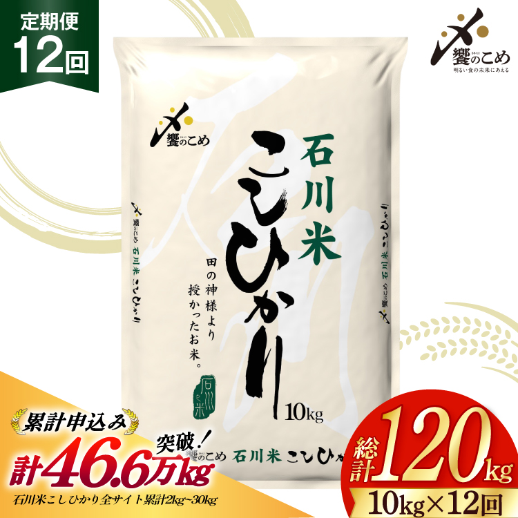 米 定期便 石川米こしひかり【穂立】10kg×12回 総計120kg 令和8年産 新米 [中橋商事 石川県 宝達志水町 38601403]コシヒカリ お米 コメ 12ヶ月 白米 精米 おこめ こめ 能登 10kg 10キロ
