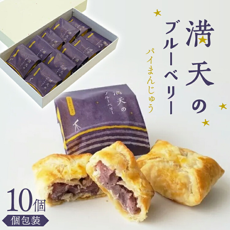 お菓子 個包装 満天のブルーベリー 10個入 [谷口製菓 石川県 宝達志水町 38601295] 菓子 焼菓子 菓子折り 和菓子 パイ スイーツ おかし おやつ 常温 ブルーベリー