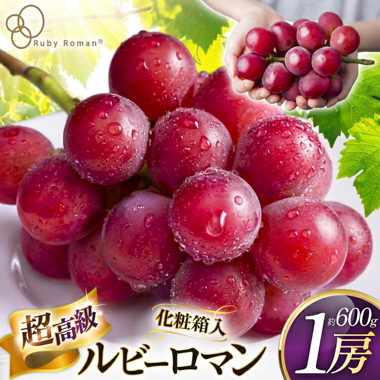 【期間限定発送】 超高級 ぶどう ルビーロマン 1房 約600g 化粧箱入 [モアショップヤマモト 石川県 宝達志水町 38601393] ブドウ 葡萄 フルーツ くだもの 果物 大粒 石川