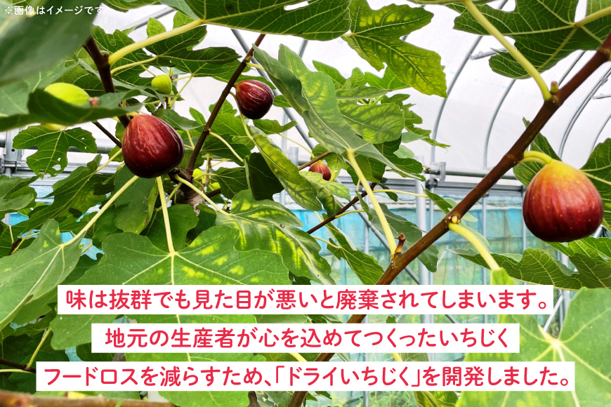 ドライフルーツ いちじく 100g [株式会社モアショップヤマモト 石川県 宝達志水町 38601439] 果物 くだもの フルーツ イチジク 無花果 先行受付 旬 いちぢく くだもの 国産 砂糖不使用 お菓子 おつまみ