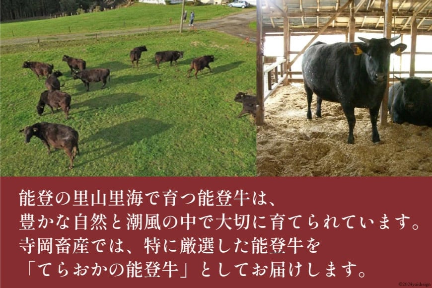牛肉 能登牛 特選 (4～5等級) しゃぶしゃぶ用 450g 肩 もも肉 [寺岡畜産 石川県 宝達志水町 38601301] 肉 お肉 しゃぶしゃぶ しゃぶしゃぶ肉 肩肉 もも肉 牛 国産 冷凍 和牛