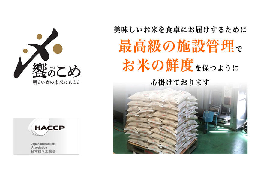 【期間限定発送】 米 令和8年 石川県産米 5kg×4種 計 20kg 精米 食べ比べ [中橋商事 石川県 宝達志水町 38601112] こしひかり コシヒカリ お米 こめ コメ 白米 ごはん 20キロ 石川