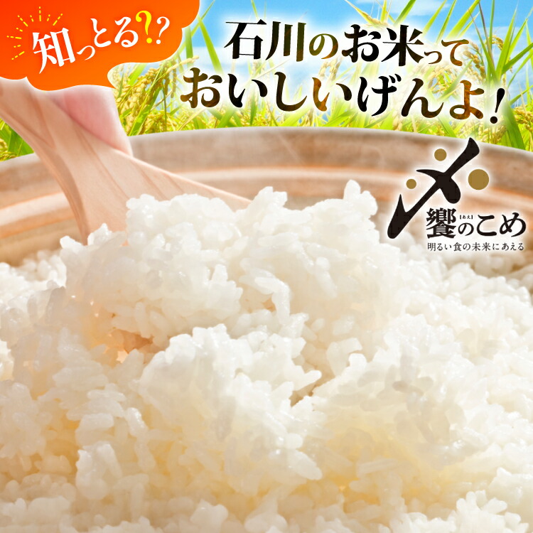 【期間限定発送】 米 令和7年 ひゃくまん穀 精米 10kg ×2袋 計 20kg [中橋商事 石川県 宝達志水町 38601202] お米 コメ 白米 ごはん 美味しい 石川