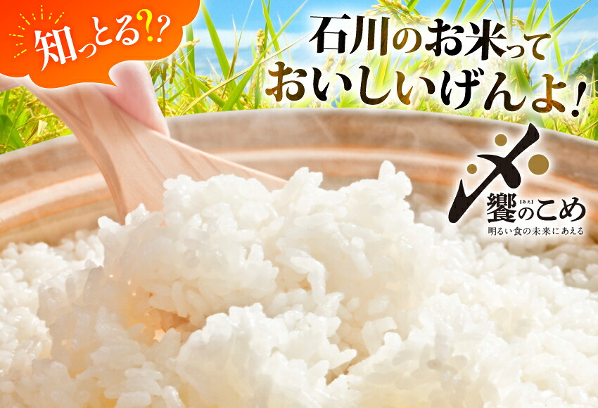 米 定期便 石川のお米 食べ比べ 5kg 3回 総計15kg こしひかり ゆめみづほ ひゃくまん穀 [中橋商事株式会社 石川県 宝達志水町 38601399] 精米 こしひかり お米 こめ コメ 定期 3ヶ月 能登米こしひかり ゆめみづほ ひゃくまん穀 石川 能登