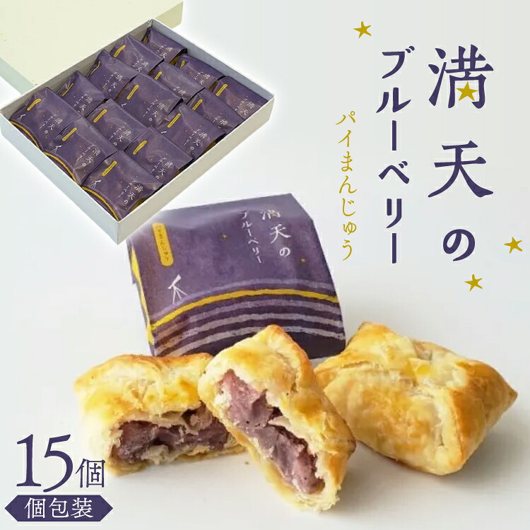 お菓子 個包装 満天のブルーベリー 15個入 [谷口製菓 石川県 宝達志水町 38601294] 菓子 焼菓子 菓子折り 和菓子 パイ スイーツ おかし おやつ 常温 ブルーベリー