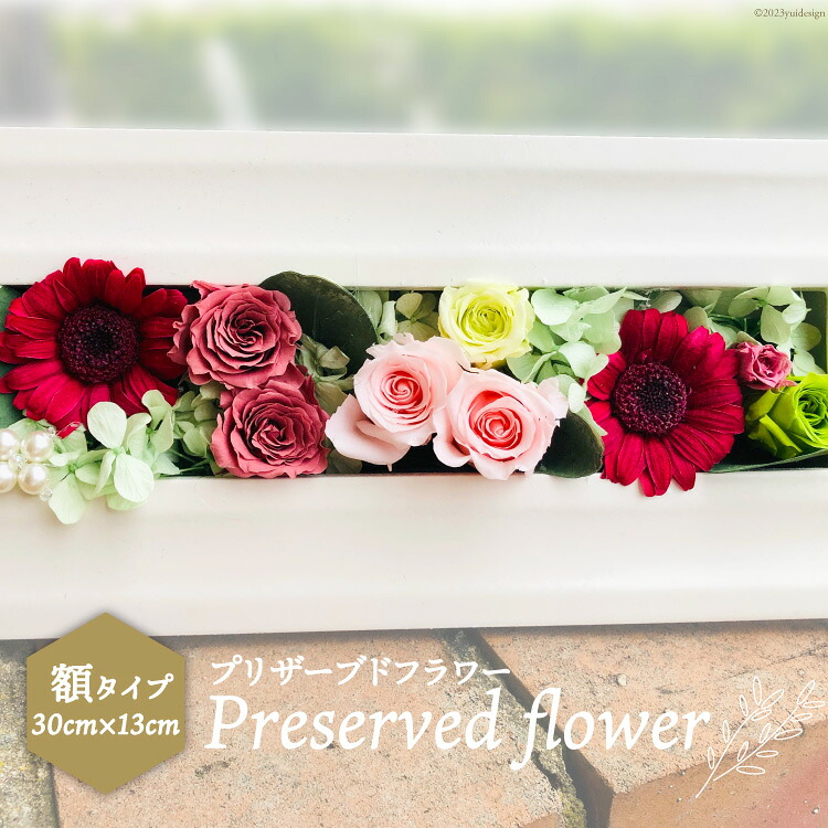 プリザーブドフラワー 額 花 ギフト プレゼント 贈答 母の日 [littleprincess 吉井圭香 石川県 宝達志水町 38600026]