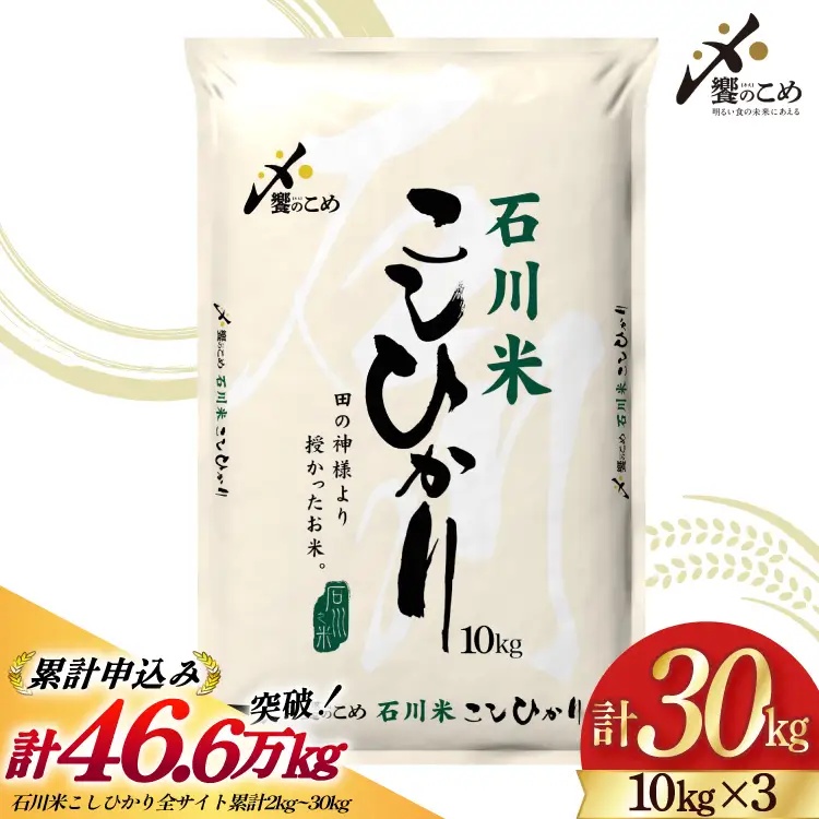米 令和7年 石川米 こしひかり 精米 10kg 3袋 計 30kg [中橋商事 石川県 宝達志水町 38601200] お米 こめ コメ 令和7年産 コシヒカリ 白米 ごはん ご飯 10キロ 30キロ 能登 石川