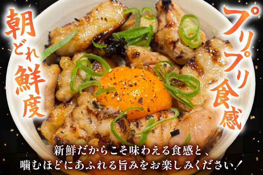 ホルモン 味付き能登豚ホルモンミックス 150g × 3パック [ホルモンしんちゃん 石川県 宝達志水町 38601396] 肉 お肉 ほるもん 能登豚 豚肉 豚ホルモン 冷凍 味付き 小分け おかず 焼肉 BBQ おつまみ