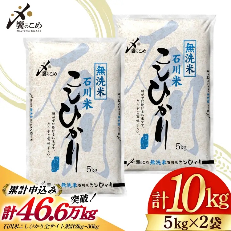 米 令和7年 無洗米 こしひかり 精米 5kg 2袋 計 10kg [中橋商事 石川県 宝達志水町 38601205] お米 こめ コメ 令和7年産 コシヒカリ 白米 ごはん ご飯 5キロ 10キロ 時短 むせんまい 能登 石川
