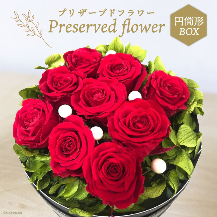 プリザーブドフラワー 円筒形BOX 花 ギフト プレゼント 贈答 母の日 [littleprincess 吉井圭香 石川県 宝達志水町 38600025]