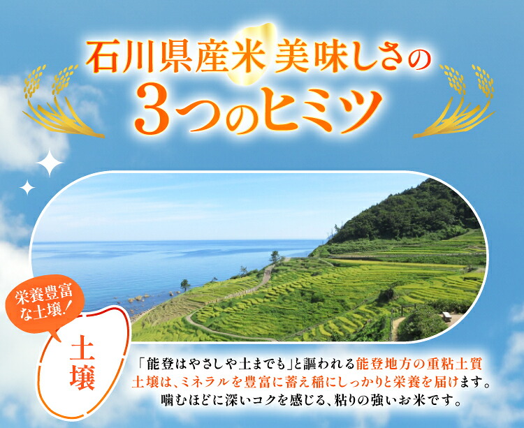米 令和8年 無洗米 こしひかり 精米 5kg 2袋 計 10kg [中橋商事 石川県 宝達志水町 38601205] お米 こめ コメ 令和8年産 コシヒカリ 白米 ごはん ご飯 5キロ 10キロ 時短 むせんまい 能登 石川