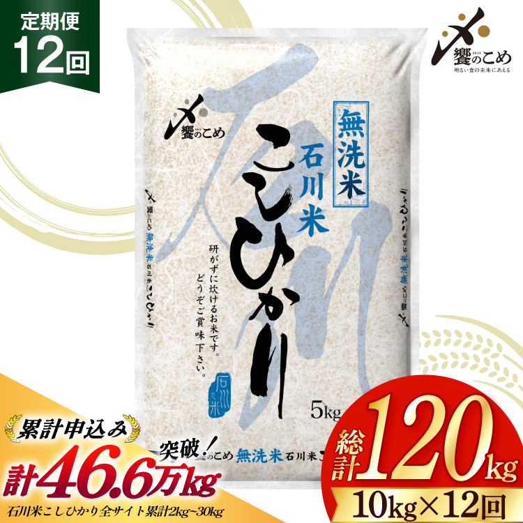 米 定期便 無洗米 石川米 こしひかり 10kg ( 5kg 2袋) 12回 総計120kg 令和8年産 新米 [中橋商事株式会社 石川県 宝達志水町 38601400] お米 白米 ごはん 美味しい コシヒカリ おこめ こめ 10kg 60kg 石川 能登 むせんまい