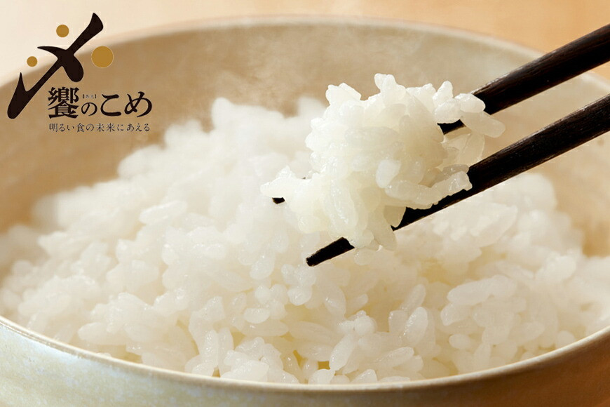 【期間限定発送】 米 令和8年 2kg ×4種 計 8kg 精米 食べ比べ [中橋商事 石川県 宝達志水町 38601091] こしひかり コシヒカリ お米 石川 こめ コメ 白米 10キロ ゆめみづほ ひゃくまん穀 つきあかり