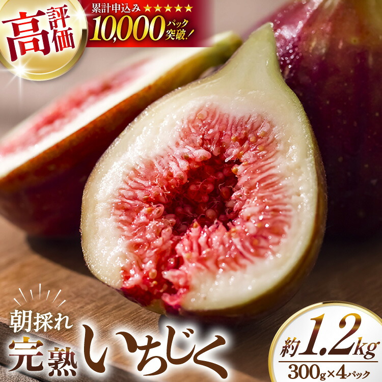 【期間限定発送】 いちじく 生 完熟 約1.2kg (300g×4パック) [モアショップヤマモト 石川県 宝達志水町 38600615] 果物 くだもの フルーツ イチジク 無花果 期間限定 朝採れ