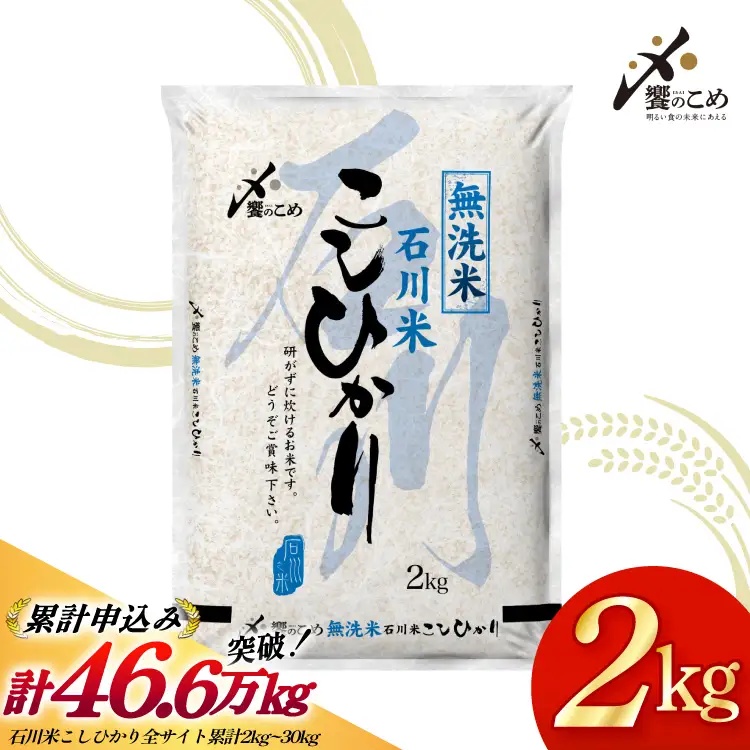 米 令和7年産 無洗米 石川米 こしひかり 2kg [中橋商事 石川県 宝達志水町 38601349] コシヒカリ お米 こめ コメ kome 能登 小容量 2キロ 令和7年 むせんまい