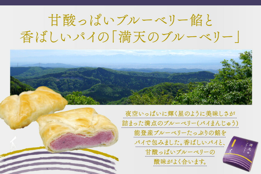 お菓子 個包装 渚のドライブ 満天のブルーベリー 各8個 計16個 [谷口製菓 石川県 宝達志水町 38601292] 詰め合わせ 詰合せ 大人 セット 菓子 焼菓子 菓子折り 和菓子 パイ スイーツ おかし おやつ 常温 さつまいも ブルーベリー