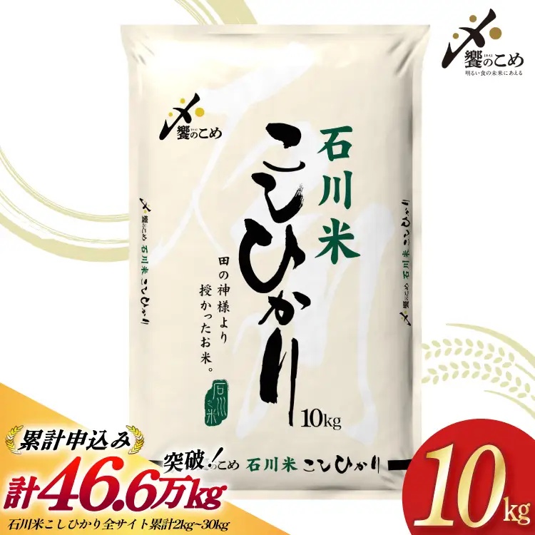米 令和7年 石川米 こしひかり 精米 10kg [中橋商事 石川県 宝達志水町 38601198] お米 こめ コメ 令和7年産 コシヒカリ 白米 ごはん ご飯 10キロ 能登 石川