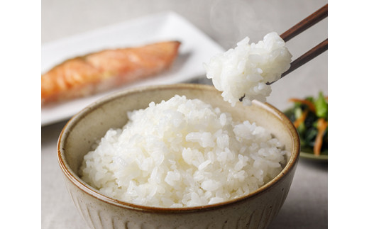 米 令和7年 のと米 こしひかり 精米 5kg [はくい農業協同組合 石川県 宝達志水町 38601248] 米 お米 ごはん コシヒカリ 美味しい 石川県産