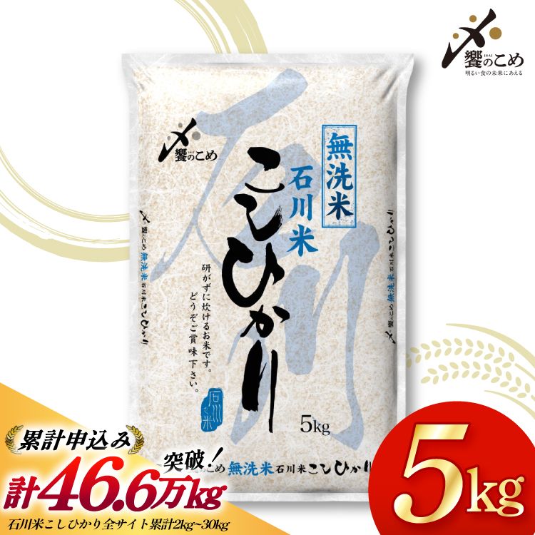 米 令和7年 無洗米 こしひかり 精米 5kg [中橋商事 石川県 宝達志水町 38601204] お米 こめ コメ 令和7年産 コシヒカリ 白米 ごはん ご飯 5キロ 時短 むせんまい 能登 石川