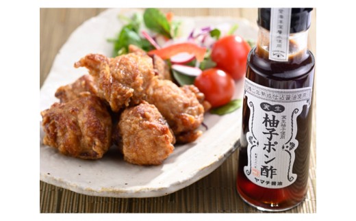 能登杉樽仕込 ポン酢 3種 各100ml 計300ml セット [近岡屋醤油 ヤマチ醤油 石川県 宝達志水町 38601215] 柚子ポン酢 昆布ポン酢 梅ポン酢 詰め合わせ 食べ比べ 調味料 化粧箱 お試し おためし